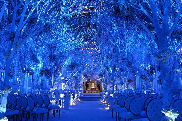 winter-wedding-winter-wonderland-ceremon